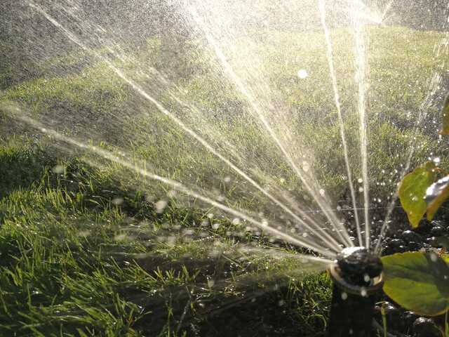 99404688_3118529741531128_3806327307660951552_o