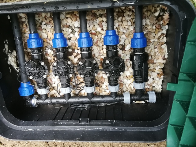 IMG_20190703_141250_resized_20190703_102919993_1_1