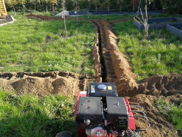 IMG_20191014_094519_resized_20191022_101414915