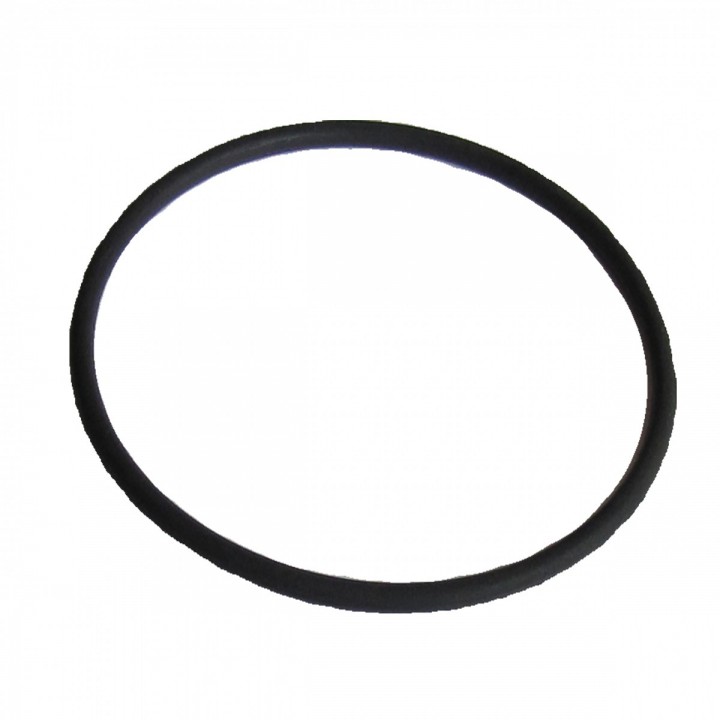 MULTI 1100, 1300 Inox uszczelka korpusu pompy Omnigena