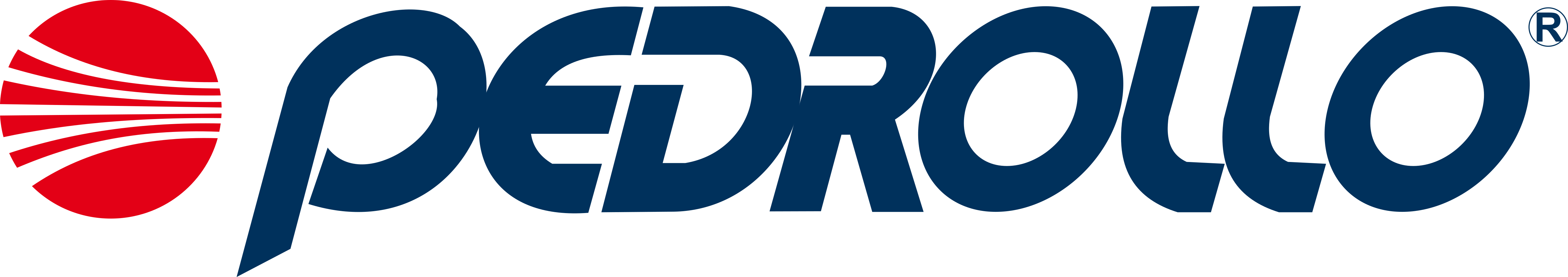 Pedrollo S.p.A., Via E. Fermi 7, 37047 San Bonifacio, IT, info@pedrollo.com